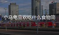 小烏龜喜歡吃什么食物簡筆畫(小烏龜喜歡吃什么食物科學家請回答)