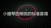小提琴四根弦的標(biāo)準(zhǔn)音調(diào)音（小提琴四根弦）
