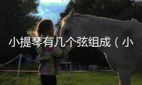 小提琴有幾個弦組成（小提琴有幾個弦）