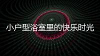 小戶型浴室里的快樂時光 超高性價比的松下小型照明浴霸