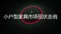 小戶型家具市場現(xiàn)狀走俏 產(chǎn)品種類增多設(shè)計多樣