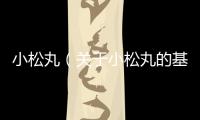 小松丸（關于小松丸的基本情況說明介紹）