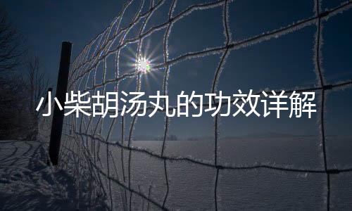 小柴胡湯丸的功效詳解
