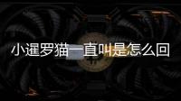 小暹羅貓一直叫是怎么回事啊？小暹羅一直叫是為什么