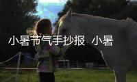 小暑節氣手抄報  小暑節氣手抄報怎么畫