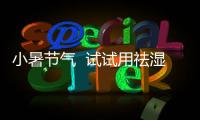 小暑節氣  試試用祛濕藥材煲個湯吧