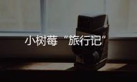 小樹莓“旅行記”