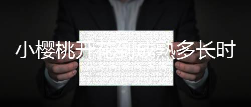 小櫻桃開花到成熟多長時間（櫻桃開花后多少天成熟）