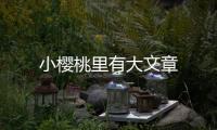 小櫻桃里有大文章