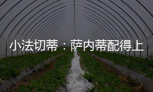 小法切蒂：薩內蒂配得上所有這些東西