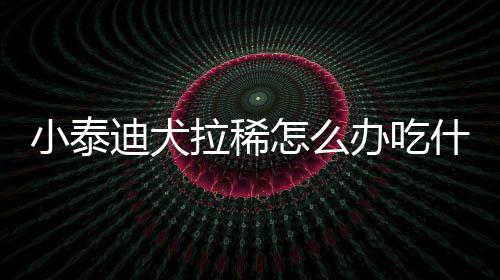 小泰迪犬拉稀怎么辦吃什么藥？小泰迪拉稀吃什么藥好