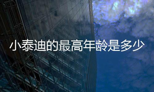 小泰迪的最高年齡是多少歲(小泰迪最大能長多大)