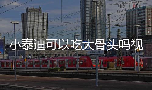 小泰迪可以吃大骨頭嗎視頻？泰迪能吃大骨頭嗎