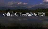 小泰迪吃了帶殼的東西怎么辦(小泰迪吃了塑料袋怎么辦)