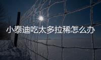 小泰迪吃太多拉稀怎么辦？泰迪吃多了拉稀