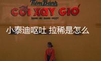 小泰迪嘔吐 拉稀是怎么了啊？泰迪幼犬嘔吐拉稀怎么辦