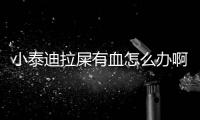 小泰迪拉屎有血怎么辦啊吃什么藥？小泰迪拉屎老是拉出血