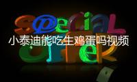 小泰迪能吃生雞蛋嗎視頻？小泰迪能吃生雞蛋嗎?