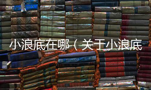 小浪底在哪（關于小浪底在哪的基本情況說明介紹）