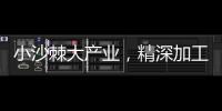 小沙棘大產(chǎn)業(yè)，精深加工助農(nóng)增收