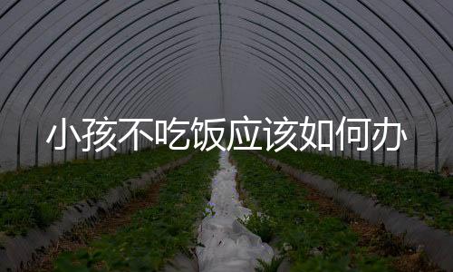 小孩不吃飯應該如何辦