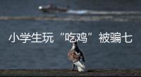 小學(xué)生玩“吃雞”被騙七千元 警惕網(wǎng)絡(luò)詐騙盯上中小學(xué)生