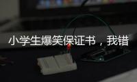 小學生爆笑保證書，我錯了，但是如果他惹我我下次還敢