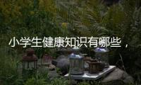 小學(xué)生健康知識(shí)有哪些，小學(xué)生的幾個(gè)健康常識(shí)