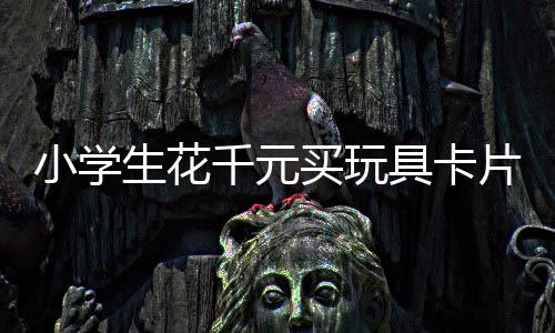 小學生花千元買玩具卡片 家長投訴商家退款