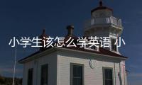 小學生該怎么學英語 小學生怎么學習英語