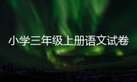 小學三年級上冊語文試卷答案（小學三年級上冊語文試卷）