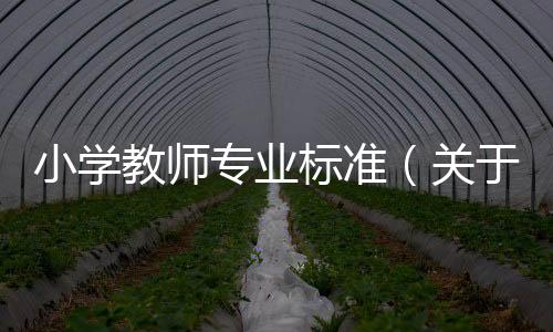 小學教師專業(yè)標準（關于小學教師專業(yè)標準的基本情況說明介紹）