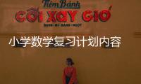 小學(xué)數(shù)學(xué)復(fù)習(xí)計劃內(nèi)容 小學(xué)數(shù)學(xué)復(fù)習(xí)計劃