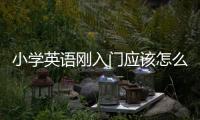 小學英語剛入門應該怎么學好 小學英語剛入門應該怎么學