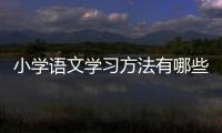 小學語文學習方法有哪些種類 小學語文學習方法有哪些