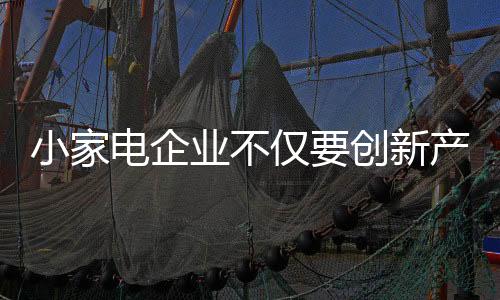 小家電企業(yè)不僅要創(chuàng)新產(chǎn)品 還要創(chuàng)新管理模式