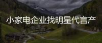 小家電企業找明星代言產品 選擇適合才最好