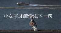 小女子才疏學淺下一句 小女才疏學淺后一句