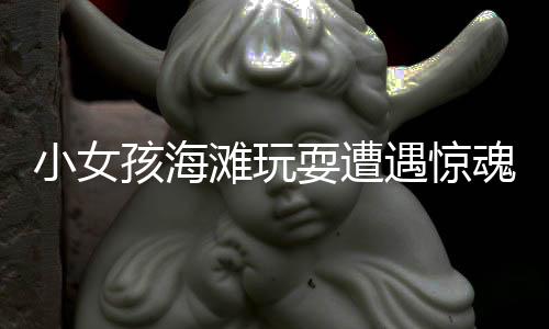 小女孩海灘玩耍遭遇驚魂一幕：鯊魚挨著孩子將其托起
