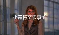 小寒將至農事忙