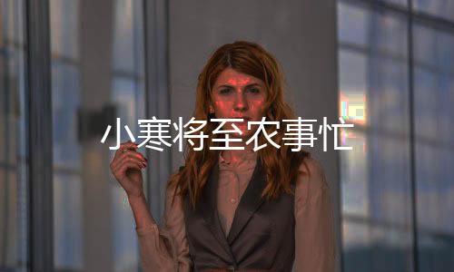 小寒將至農(nóng)事忙