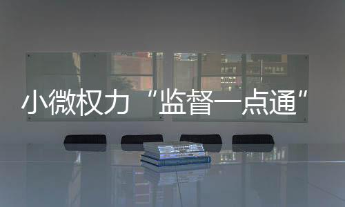 小微權力“監督一點通”平臺運行工作推進會召開
