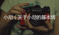 小尼（關于小尼的基本情況說明介紹）