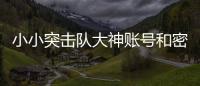 小小突擊隊大神賬號和密碼免費（小小突擊隊密碼）