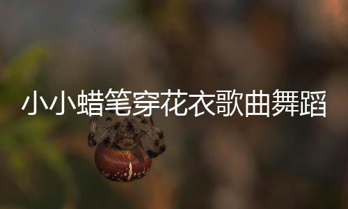 小小蠟筆穿花衣歌曲舞蹈視頻（小小蠟筆穿花衣歌曲）