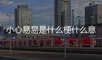 小心易易是什么梗什么意思？毛不易接話筒的姿勢太過燙手上熱搜