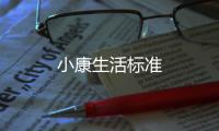小康生活標(biāo)準(zhǔn)