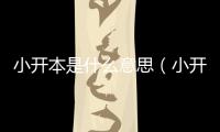 小開本是什么意思（小開）