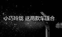 小巧玲瓏 這兩款車適合年輕的你們