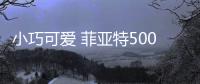 小巧可愛 菲亞特500 laPrima硬頂版官圖發布